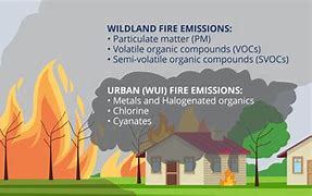 Image result for Wildland Urban Interface Fire