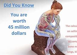 Image result for How Much Is a Human Worth