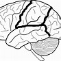 Image result for Blank Brain Template