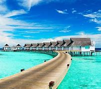 Image result for Maldivas