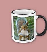 Image result for Surprised Squirrel Mug
