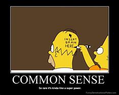 Image result for Funny Common-Sense