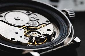 Image result for Gears in Wrist Watch