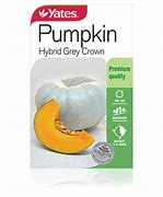 Image result for Hybrid Crown Pumpkin