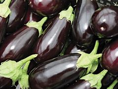 eggplants 的图像结果