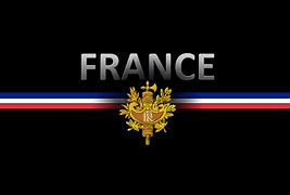 Image result for Logo De Free France