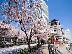Image result for Yokohama Japan Budgethotel