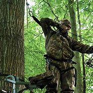 Image result for Tree Climbing Harness