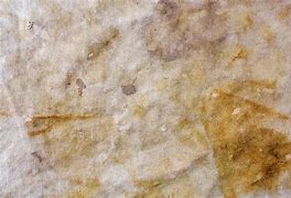 Image result for Torn Fabric Background