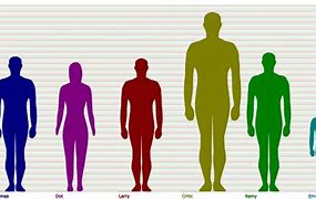 Image result for 6'1 Height
