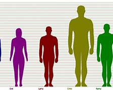 Image result for 5'2 Height