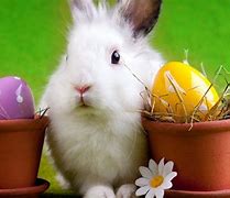 Image result for Free Funny Easter Memes