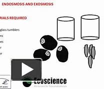 Image result for endosmosis