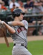 Image result for Minnesota Twins Baseball Bat and Ball Photo