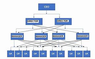 Image result for Corporation Structure