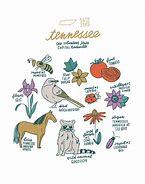 Image result for Tennessee State Symbols