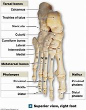 Image result for Yotnar's Right Foot
