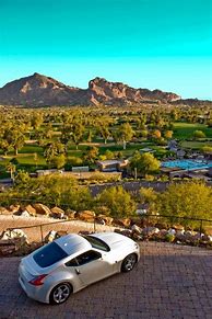 Image result for Camelback Cricket