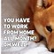 Image result for Funny Work at Home Memes