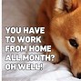 Image result for Supposed to Work From Home Meme