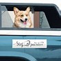 Image result for Decals and Bumper Stickers