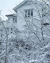 Image result for Winter White House