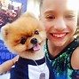 Image result for Jiff Pom vs Boo