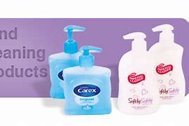 Image result for hands cleaning products