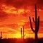 Image result for Arizona Scenic Sunset