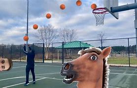 Image result for Horse Playing Basketball