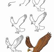 Image result for Eagle Bird Drawing Easy
