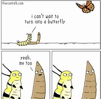 Image result for Butterfly Wallet Meme