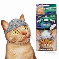 Image result for How to Make a Tin Foil Hat