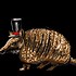 Image result for Armadillo with Hat