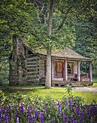 Image result for 1800s Pacific Northwest Log Cabin