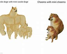 Image result for Buff Doge Cheems Meme