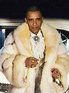 Image result for Memes About Hiding Things Under a Fur Coat