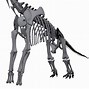 Image result for Brachiosaurus Dinosaur Skeleton
