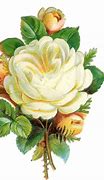 Image result for Gold and Red Rose Clip Art Transparent
