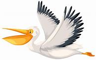 Image result for Free Drawings of Pelicans