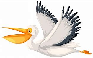 Image result for Pelican Flying Drawing