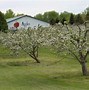 Image result for Apple Farms Near Rochester NY