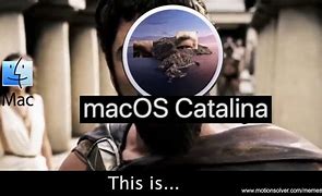 Image result for Mac Catalina Memes