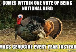 Image result for Happy Turkey Day Funny Meme