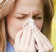 Image result for Allergy Sufferers