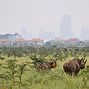 Image result for Kenya Tourist Attractions
