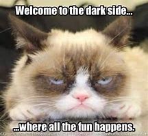 Image result for Grumpy Cat Welcome Back