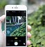 Image result for 2015 iPhone Photo Gallery