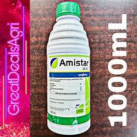 Image result for amsitinar