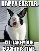 Image result for funny bunnies meme easter